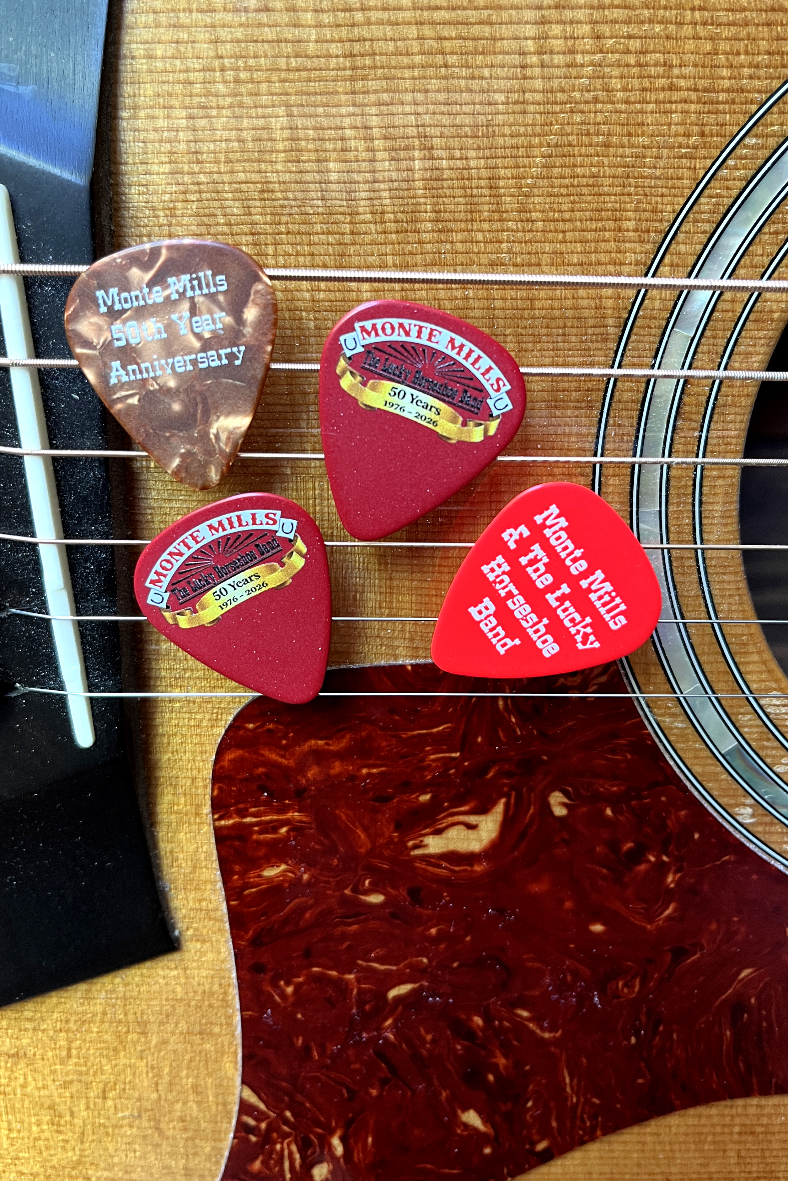 Guitar Picks